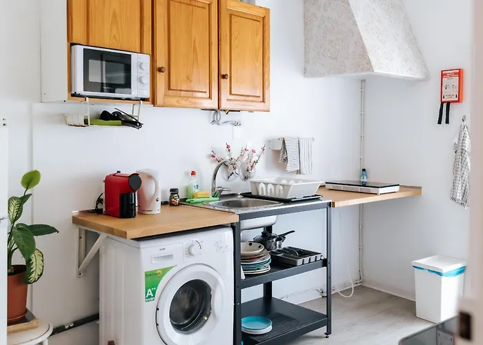 Daniela's Central 201